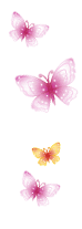 Жёлтые и розовые бабочки